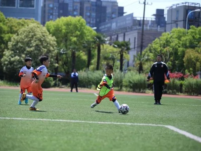 乐鱼(leyu)官网品牌故事